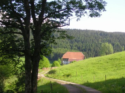 Holiday apartment Rutscherhof - Outdoor photo 7