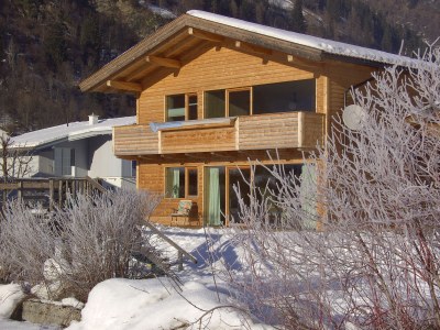 Holiday apartment Haslinger - Outdoor photo 3