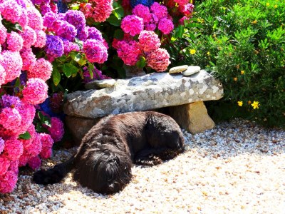 Holiday house Maison Dodo - Outdoor photo 6