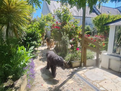 Holiday house Maison Dodo - Outdoor photo 16