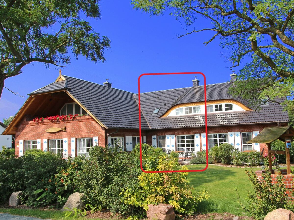 Holiday apartment Wigbold - Outdoor photo 2
