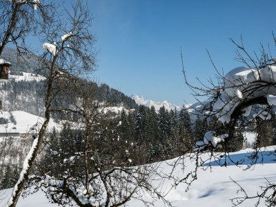 Cottage Mansion in Eben near Salzburger Ski Area - Outdoor photo 5