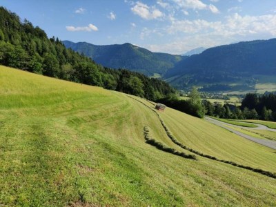Apartment Wohnung in Flachau nahe Skipisten - Environment photo 13