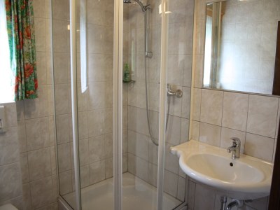 Apartment Apartment in Flachau near Ski Slopes - Features photo 12