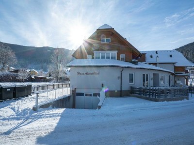 Apartment Modernes Apartment direkt am Skilift in Sankt Margarethen im Lungau - Apartment