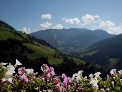 Apartment Chalet in Sankt Johann near Ski Lift - Outdoor photo 8