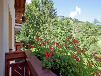 Apartment Apartment in Kleinarl near Ski Slopes - Outdoor photo 8