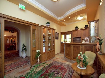 Apartment Apartment in Kleinarl near Ski Slopes - Features photo 26