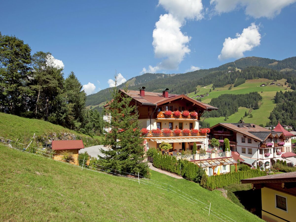 Apartment Apartment in Kleinarl near Ski Slopes