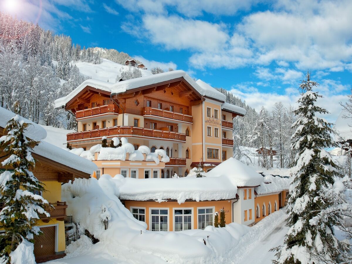 Apartment Apartment in Kleinarl near Ski Slopes - Outdoor photo 5