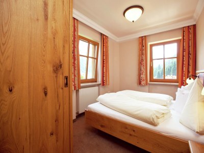 Apartment Apartment in Kleinarl near Ski Slopes - Features photo 24