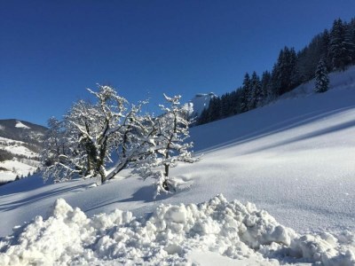 Holiday house Landhausidylle mit Bergblick nahe Skilift - Environment photo 30