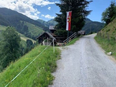 Cottage Chalet in Goldegg near Ski Slopes - Environment photo 23