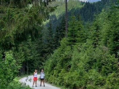 Cottage Chalet in Goldegg near Ski Slopes - Environment photo 24
