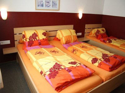 Chalet Chalet in Piesendorf nahe Kaprun Pisten - Features photo 11