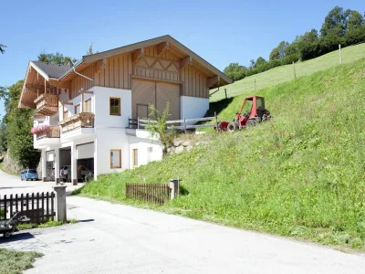 Apartment Flat in Mittersill near Ski Lift in Nationalpark Hohe Tauern - Apartment