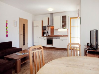 Apartment Flat in Mittersill near Ski Lift - Features photo 12