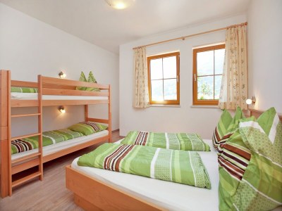 Apartment Flat in Mittersill near Ski Lift - Features photo 13