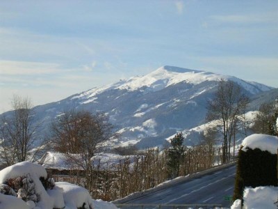 Apartment Flat in Mittersill near Ski Lift - Environment photo 35
