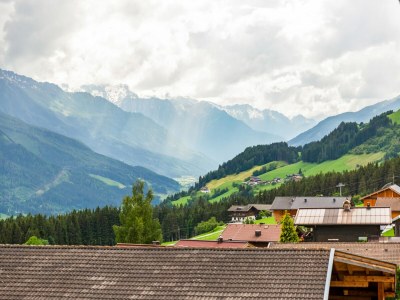 Apartment Apartment in Hollersbach near Ski Lift - Environment photo 25