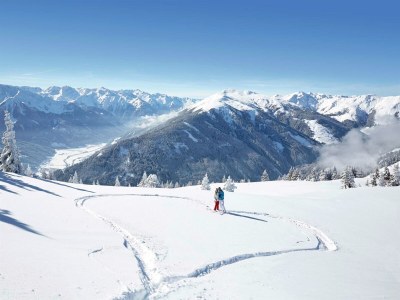 Apartment Wohnung in Hollersbach am Skilift - Environment photo 26