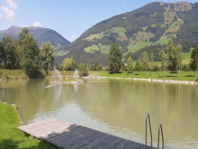 Apartment Wohnung in Hollersbach am Skilift - Environment photo 33