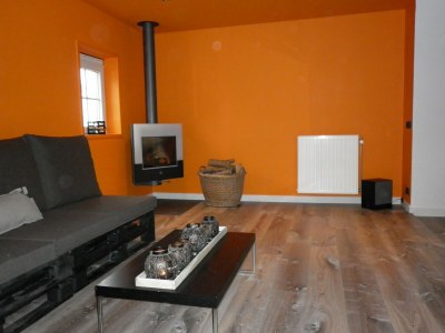 Holiday house Apartment in Netherlands with Sauna - Features photo 13