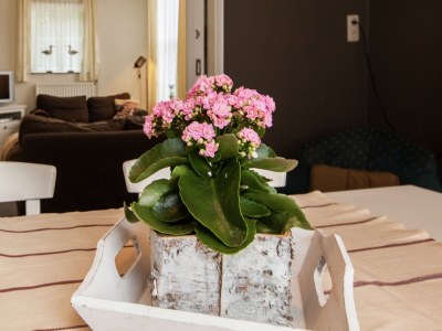Farmhouse from the Zealand coast and 20km from Brugge! - Outdoor photo 36