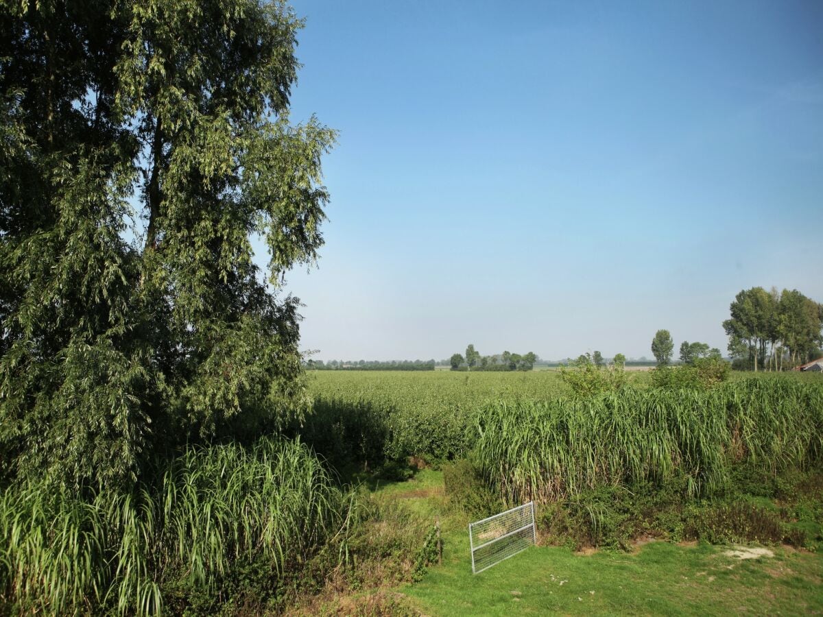 Farmhouse Bauernhaus in Eede - Outdoor photo 2