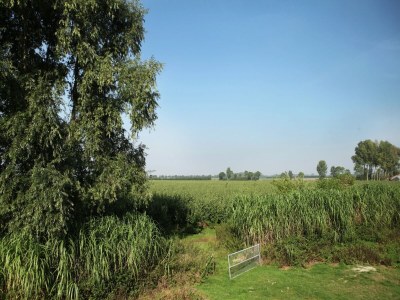 Farmhouse Bauernhaus in Eede - Outdoor photo 2
