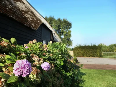 Farmhouse Bauernhaus in Eede - Outdoor photo 33