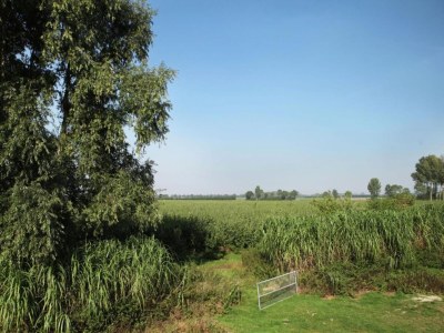 Farmhouse Haustierfreundliches Bauernhaus - Environment photo 36