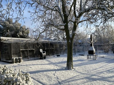 Farmhouse Farmhouse in Nieuwleusen near Lake and Nature - Outdoor photo 4