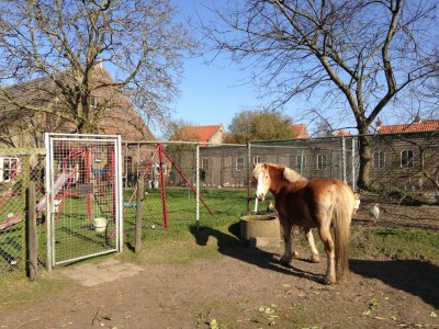 Holiday house Zigeunerwagen in Weideblick mit Tieren - Outdoor photo 6