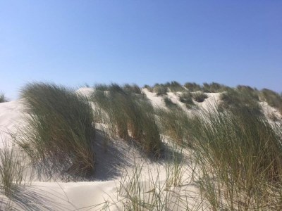 Holiday house Cottage in Nes-Ameland near Coastline - Environment photo 20