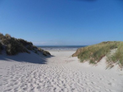 Holiday house Cottage in Nes-Ameland near Coastline - Environment photo 29