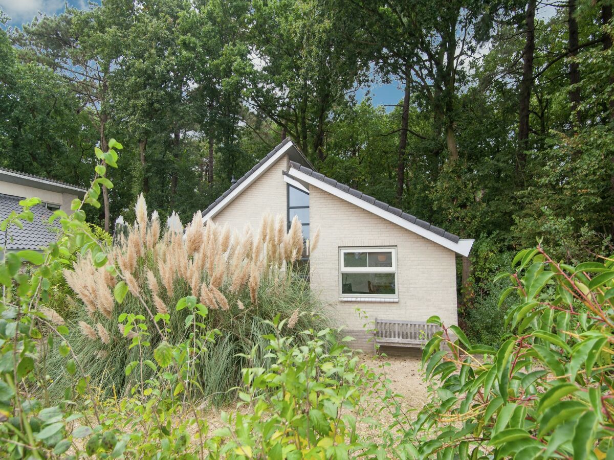 Holiday house Holiday Home in Schoorl near Dunes - Outdoor photo 5