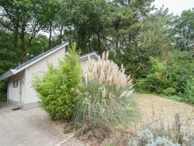 Holiday house Holiday Home in Schoorl near Dunes - Outdoor photo 3