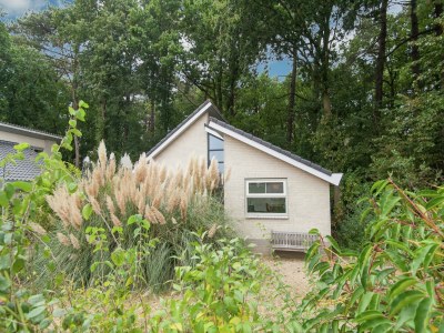 Holiday house Holiday Home in Schoorl near Dunes - Outdoor photo 5