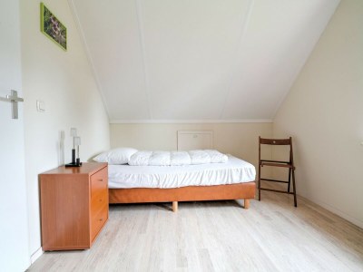 Holiday house Serene Holiday Home in Gaasterlân-Sleat - Features photo 18