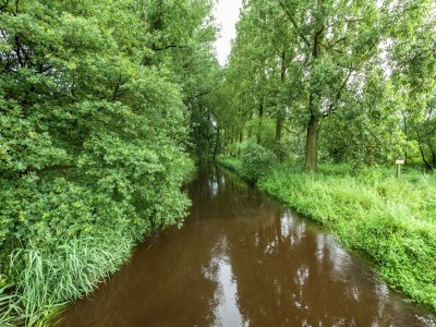 Holiday house Ferienhaus in Oisterwijk mit Pool - Environment photo 28