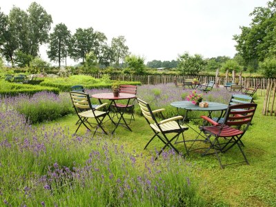 Holiday house Bauernhaus in Reusel bei Radwegen - Outdoor photo 9