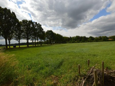 Holiday house Bauernhaus in Reusel bei Radwegen - Environment photo 32