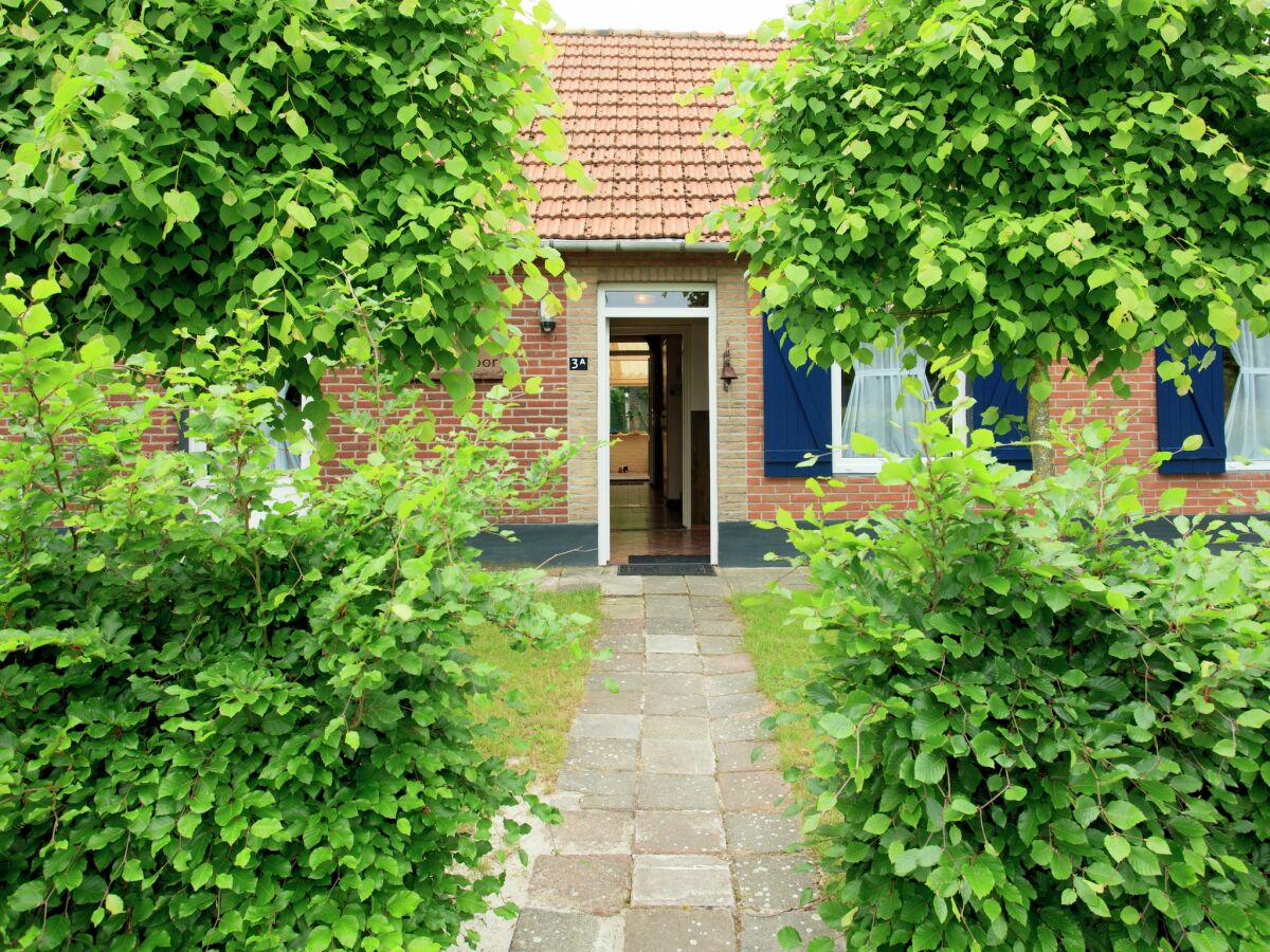 Holiday house Bauernhaus in Nederweert am Kanal - Outdoor photo 4