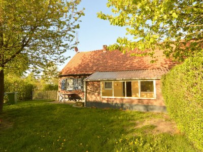 Holiday house Bauernhaus in Nederweert am Kanal - Outdoor photo 6