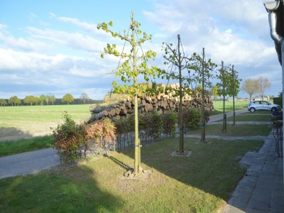 Holiday house Bauernhaus in Nederweert am Kanal - Outdoor photo 8