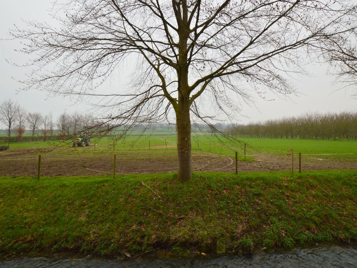 Holiday house Ferienhaus in Mesch-Eijsden - Outdoor photo 2