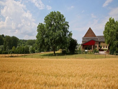 Farmhouse Wijlre Bauernhausaufenthalt - Environment photo 28
