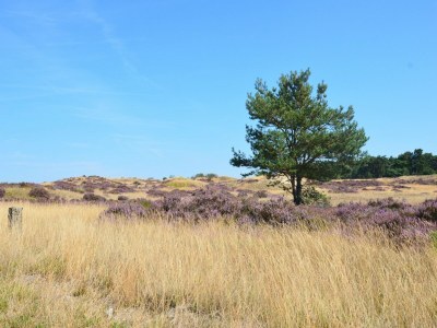 Holiday house Ferienhaus in Veluwe für 4 Von Belvilla - Environment photo 21