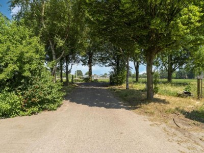 Farmhouse Bauernhaus in Geesteren nahe Wald - Environment photo 23